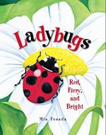 Ladybugs