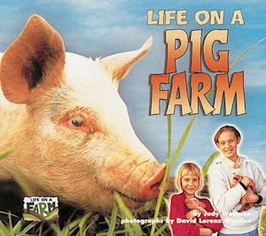 Life on a Pig Farm