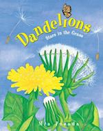 Dandelions