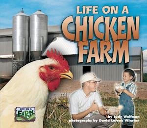 Life on a Chicken Farm