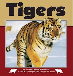 Tigers