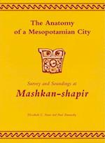 The Anatomy of a Mesopotamian City