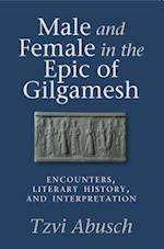 Male and Female in the Epic of Gilgamesh