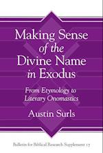 Making Sense of the Divine Name in the Book of Exodus