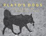 Roma, T:  Plato's Dogs