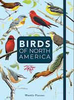 Birds of North America 2025 Weekly Planner
