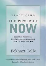 Practicing the Power of Now