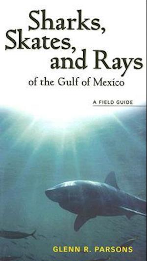 Sharks, Skates, and Rays of the Gulf of Mexico
