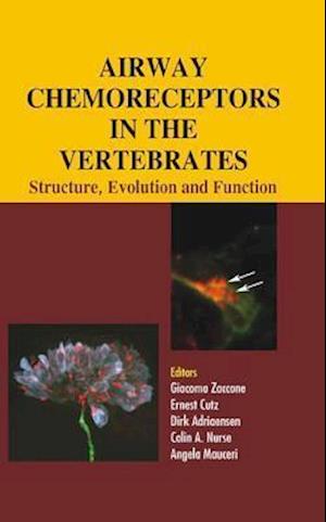 Airway Chemoreceptors in Vertebrates