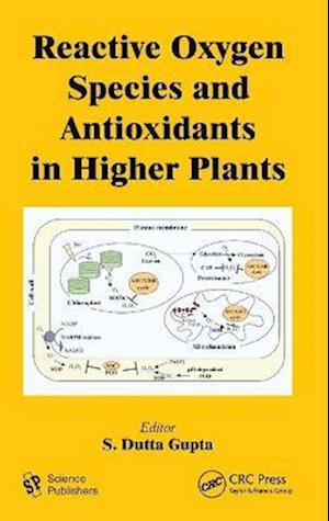 Reactive Oxygen Species and Antioxidants in Higher Plants