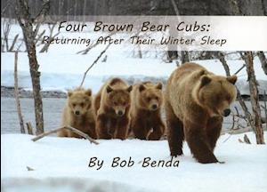 Four Brown Bear Cubs