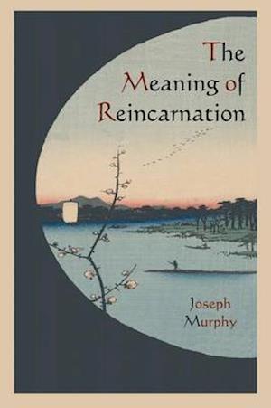 The Meaning of Reincarnation