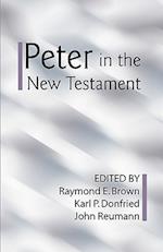 Peter in the New Testament