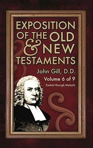 Exposition of the Old & New Testaments - Vol. 6