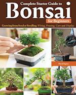 Complete Starter Guide to Bonsai for Beginners