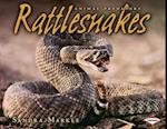 Rattlesnakes