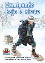 Caminando bajo la nieve (The Snow Walker)