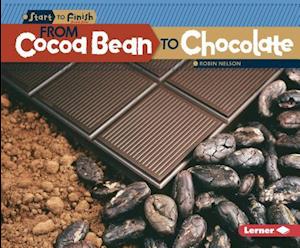 From Cocoa Bean to Chocolate