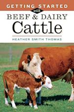 Getting Started with Beef and Dairy Cattle
