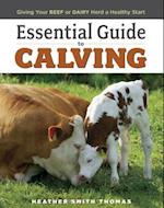 Essential Guide to Calving