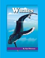 Whales