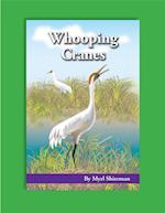 Whooping Cranes