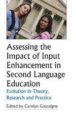 Assessing the Impact of Input Enhancement in Second Language Education