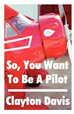 So, You Want to Be a Pilot