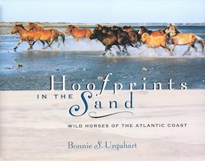 Hoofprints in the Sand