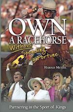 Own a Racehorse without Spending a Fortune