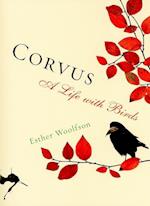 Corvus