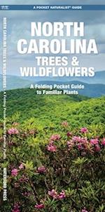 North Carolina Trees & Wildflowers