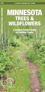 Minnesota Trees & Wildflowers