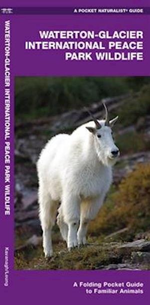 Waterton-Glacier International Peace Park Wildlife