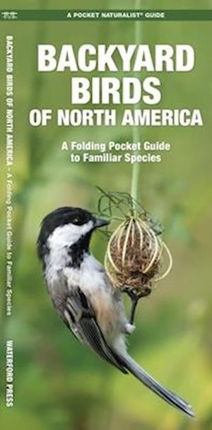 Backyard Birds of North America