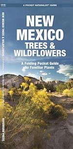New Mexico Trees & Wildflowers