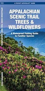 Appalachian Trail Trees & Wildflowers