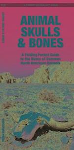 Animal Skulls & Bones Laminated