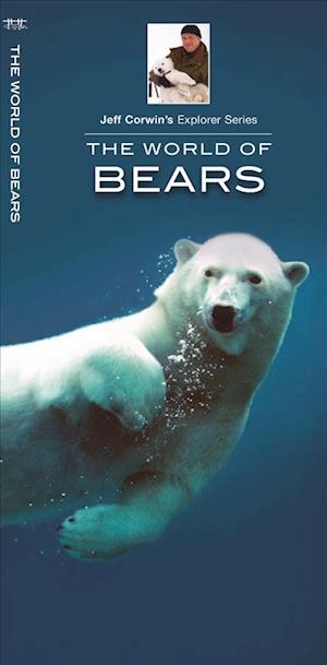 The World of Bears