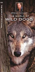 The World of Wild Dogs