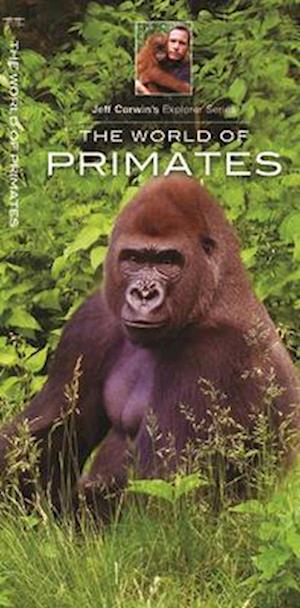 The World of Primates