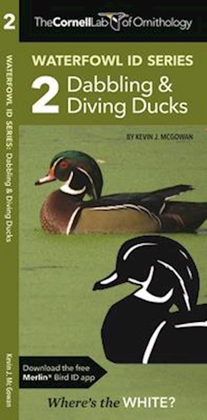 The Cornell Lab of Ornithology Waterfowl ID 2 Dabbling & Diving Ducks