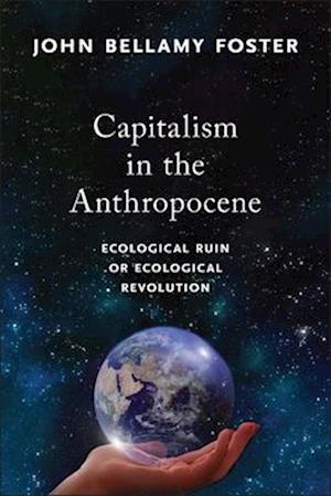 Capitalism in the Anthropocene