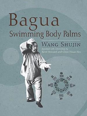 Bagua Swimming Body Palms