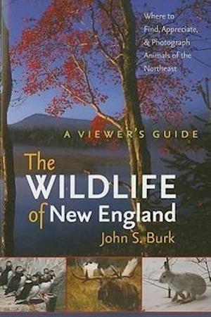 The Wildlife of New England