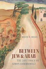 Between Jew and Arab