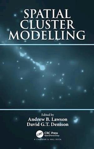 Spatial Cluster Modelling