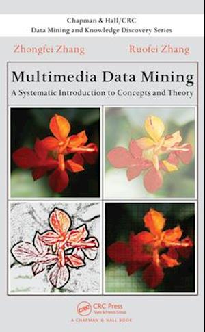 Multimedia Data Mining