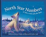 North Star Numbers