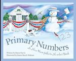 Primary Numbers